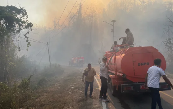 Tim gabungan BPBD Maluku Utara melakukan pemadaman kebakaran di hutan dan lahan warga Desa Kayasa dan Gusale, Kamis (1/10/2026).
